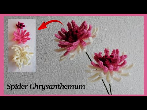 Crochet Spider Chrysanthemum flowers