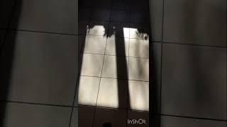Ayo that’s sus ! #viral #video #funny #sus #nomusic