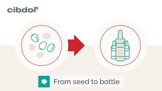 CBD konopný olej Cibdol - Od semienka do fľaštičky