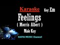 Feelings (Karaoke) Morris Albert Male key Em