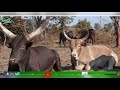 SHULE YA NG OMBE UJUMBE WASHABIKI 23 5 2023