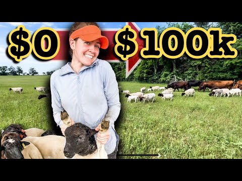 , title : 'BAGAIMANA SAYA MEMBANGUN BISNIS PERTANIAN senilai $100K DALAM 3 TAHUN (Langkah demi Langkah) | Peternakan Keuntungan Peternakan Domba Dorper'