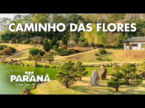 Caminho das Flores | Paraná Viaja +60 – Ivaté, Uniflor, Mandaguaçu e Maringá