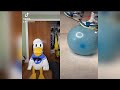 Donald Ducc Reacts To Very Satisfying Tiktok Videos TRY NOT TO LAUGH CHALLENGE DonaldDucc