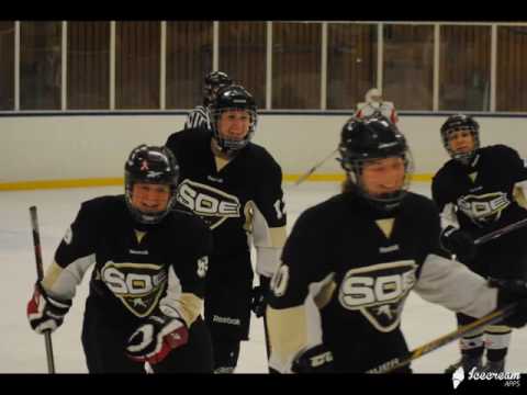 SDE HC DamU säsongen 2016-2017