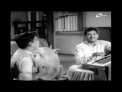 Maduve Maadikondu  | Madhuve Maadi Nodu | Dr.rajkumar | Narasimha Raju |  Video Song