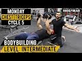CHEST & TRICEP Split Workout! Cycle 5 (Hindi / Punjabi)
