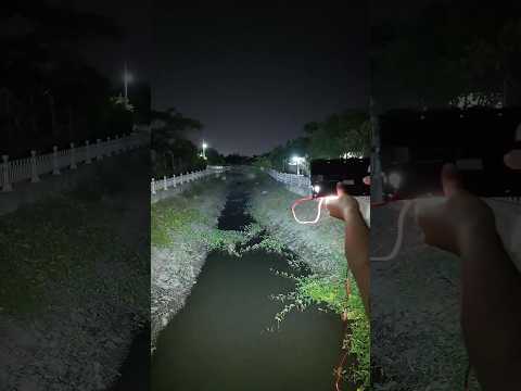 Đèn kẹp bình ắc quy 12V nhỏ gọn, hiệu năng cao #tientrantv