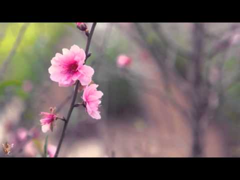 ☆ Krásnej sen - Gate 2017 ☆ [HD]