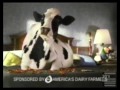 Got Milk Bessie The Cow Commercial 1997