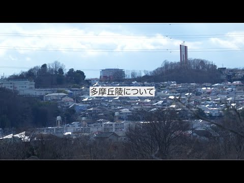 多摩丘陵インタビュー｜明星大学