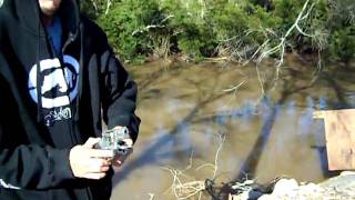 .38 Special, SINS, R.O.T.T. Nemesis