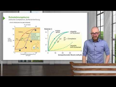 Physiologie I Atemphysiologie: Ruhedehnungskurve des Atemapparats I Srdjan Maksimovic