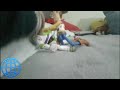 Woody Scream Multilanguage