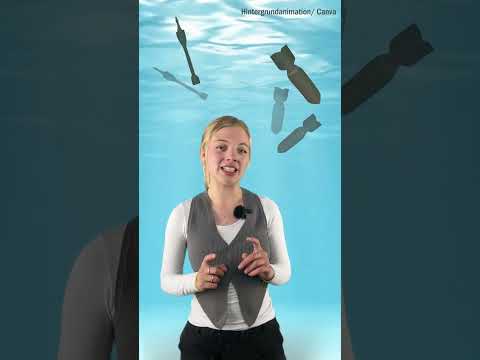 Was gibt es alles im Bodensee? - Wasserleichen, Kriegsmunition, Schiffwracks