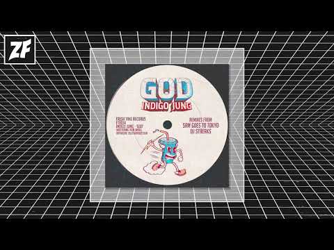 PREMIERE: Indigo Jung - Done For [Fresh Take Records]