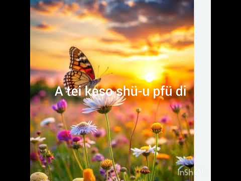 a kelhou lha mehoshücie _ keneisanuo suokhrie and kekhrieyie belho _____instrument music track