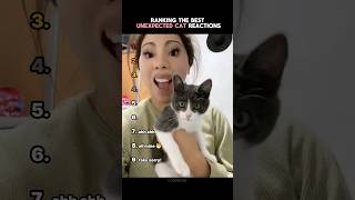Ranking The Funniest Unexpected Cat Reactions!