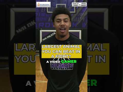 Willis Guard SJ Young shared some of his favorite things on and off the court