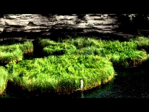 Max Denoise & Anthya - Elusive ( video ) cut mix