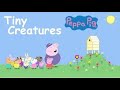 Peppa Pig Tiny Creatures Read Aloud