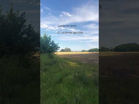 Venta de campo en la zona de Mercedes- San Andrés de Giles próximo a Autopista Ruta 7