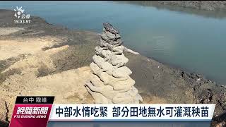 [閒聊] 今年大雅小麥季 是不是沒有人踐踏田地?