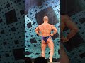 相澤飛鳥選手フリーポーズ【2021日本クラス別】#shorts #筋トレ
