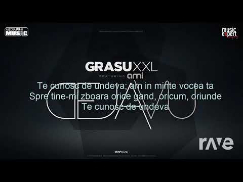 Te Cunosc De Undeva - Tu Cara Me Suena & Grasu Xxl ft. Ami | RaveDj