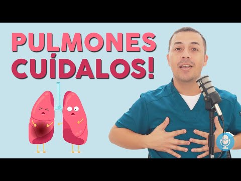 Pulmones 🧵 qué son?