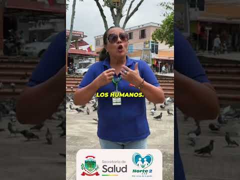 Prevención de la rabia y cuidado animal | Secretaría de Salud de Miranda, Cauca