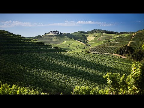 Explore Wines of Germany: Baden