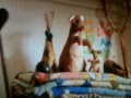 Christopher Robin S Room