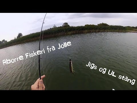 Aborre Fiskeri På Jigs Fra Jolle.
