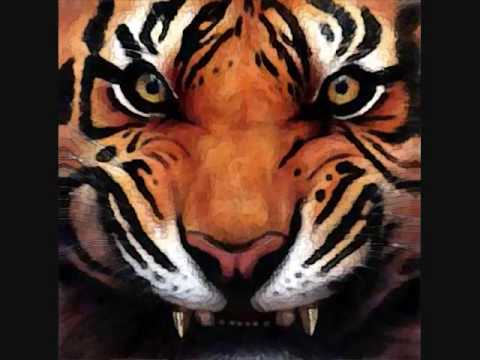 kritzers alternate ending.wmv