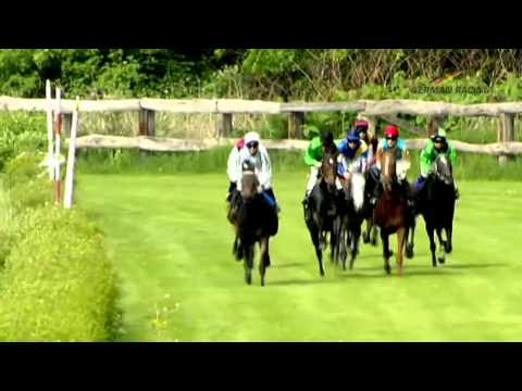 Leipzig: Preis der Stadt Leipzig (D) - Sieger: Laolita