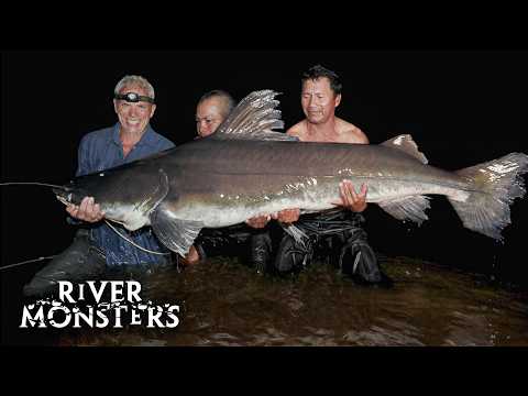 Best Moments and Catches in The Amazon on River Monsters