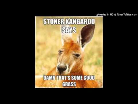 Army (Dean Cohen vs. Bass King & X-Vertigo Remix) (DotHog Mashup)