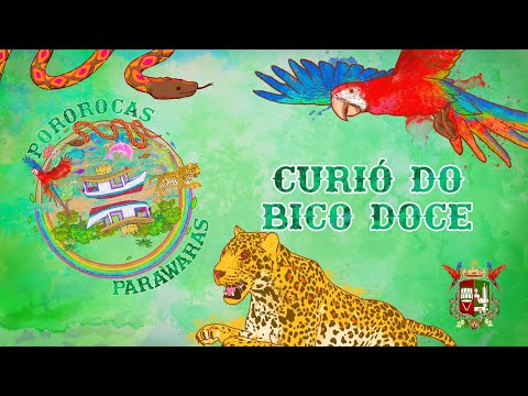 Curió do Bico Doce | EP Pororocas Parawaras
