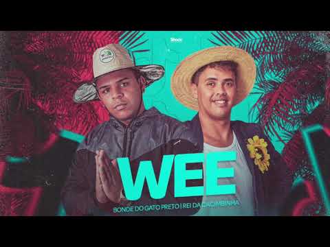 rei da cacimbinha e bonde do gato preto wee meme Tik Tok