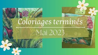 Coloriages terminés Mai 2023 - Finished pages