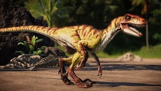 Novel Velociraptor