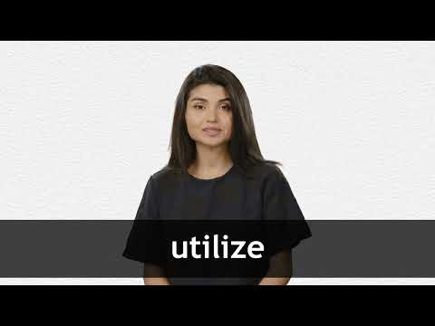 UTILIZE definition and meaning | Collins English Dictionary