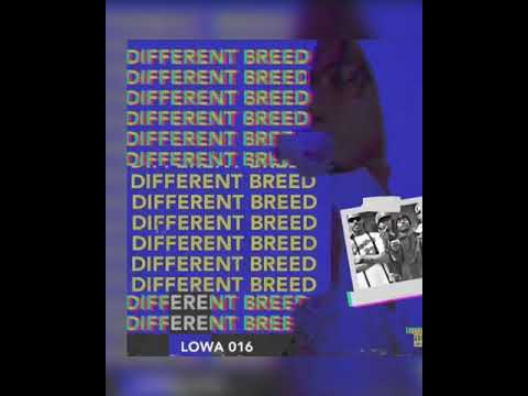 Lowa016 ft Staxx Yola - Different Breed