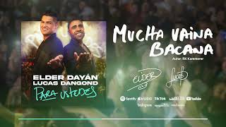 Mucha Vaina Bacana Lyrics English Translation