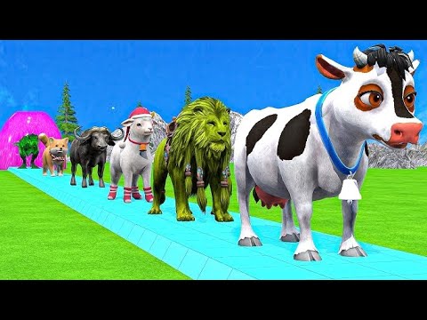 Long Slide Game With Cow Elephant Gorilla Hippopotamus Tiger 3d Animal Game Funny 3d Animals