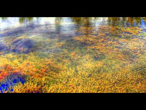 Bruce Hornsby ~ Ripple (11/12/00)