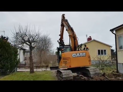 Beskärning fruktträd