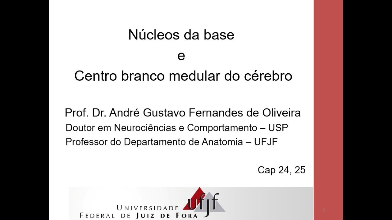 Videoaula - Núcleos da Base e Centro Branco Medular do Cérebro