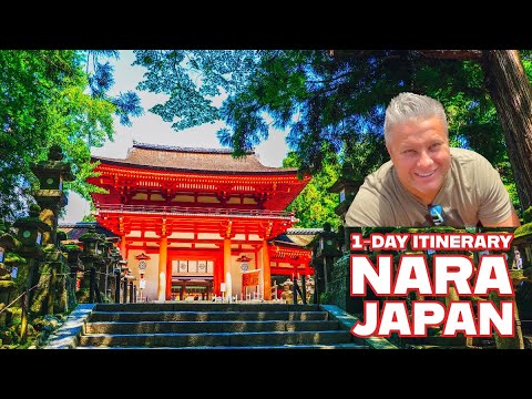 What does a one-day visit to Nara Japan look like? | Our 1-day itinerary